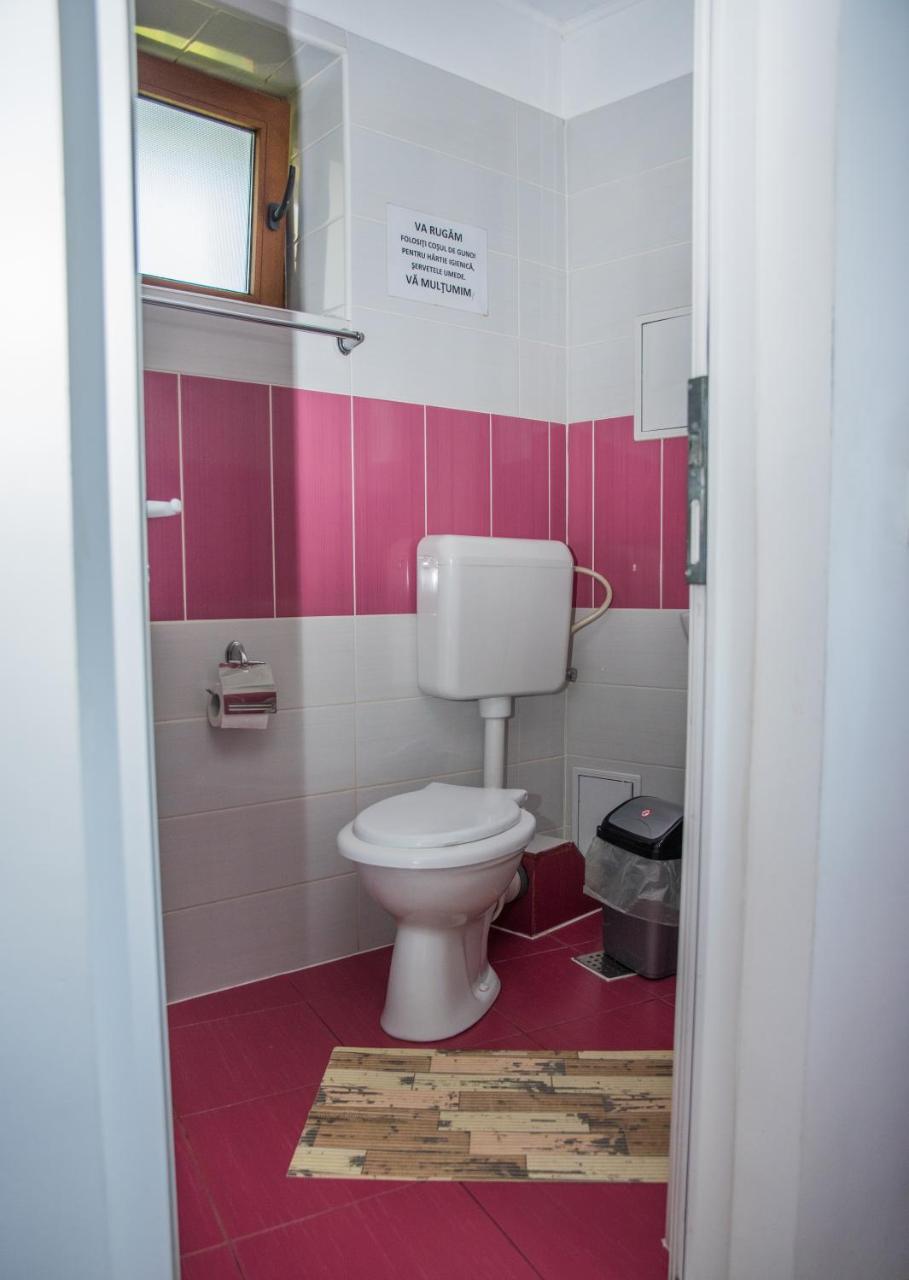 Vila Alegria Szászbuda Kültér fotó