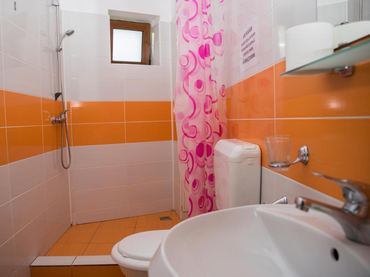 Vila Alegria Szászbuda Kültér fotó