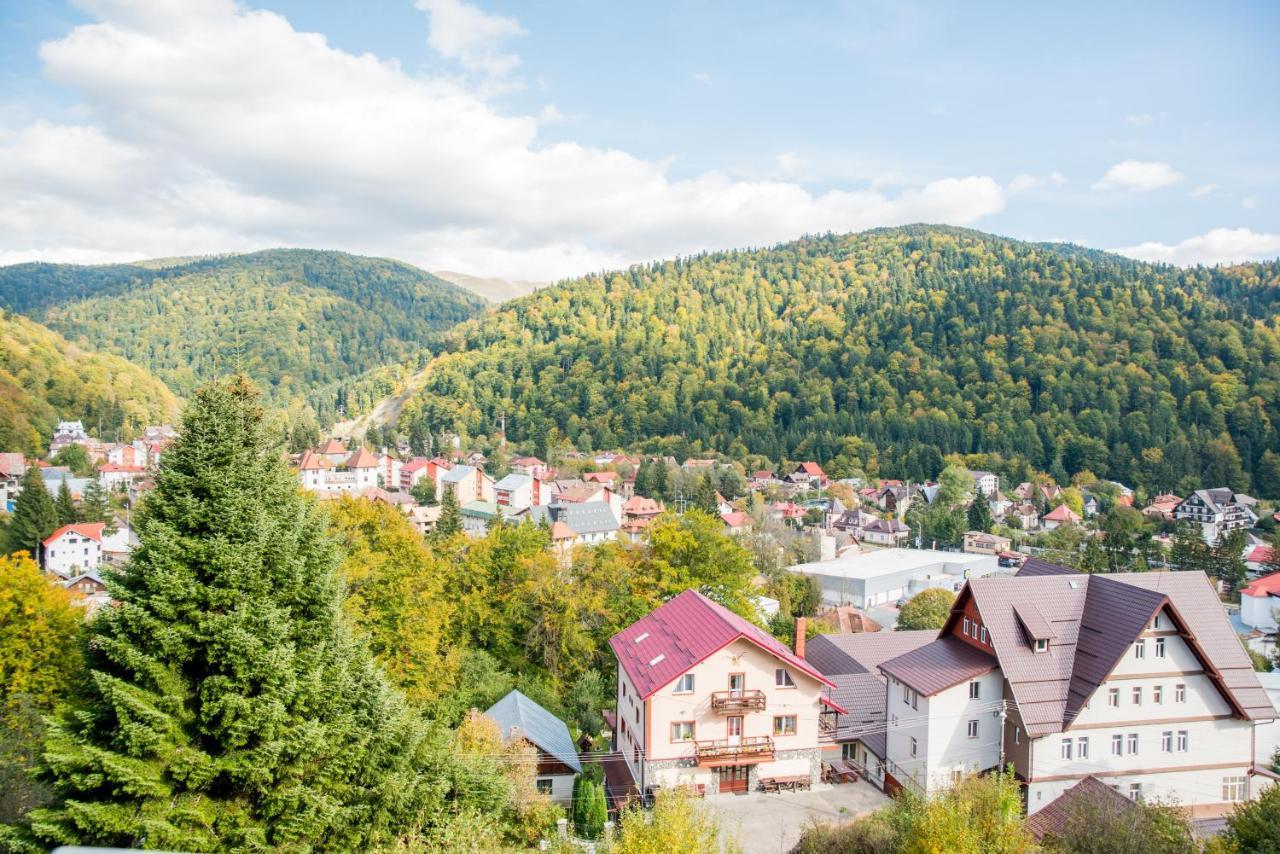Vila Alegria Szászbuda Kültér fotó