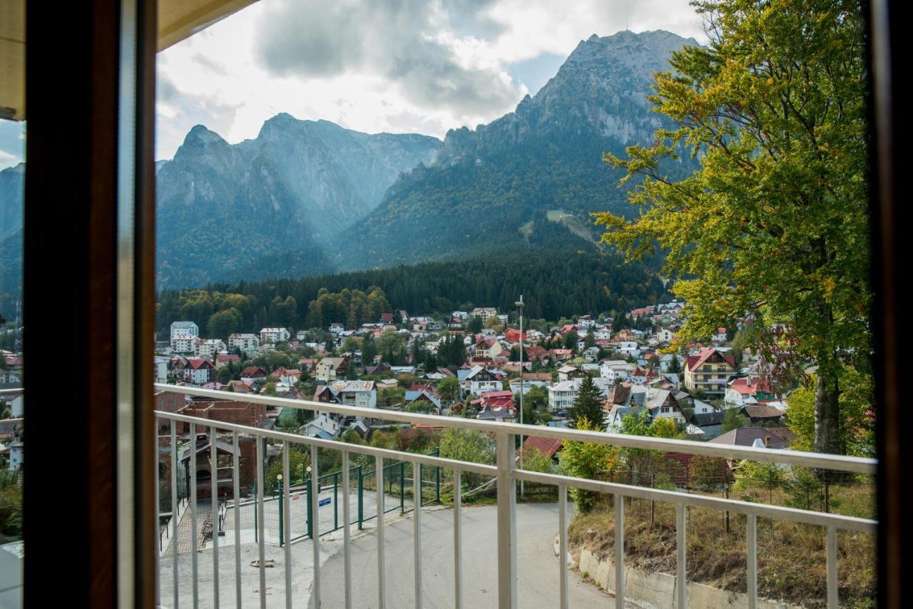 Vila Alegria Szászbuda Kültér fotó