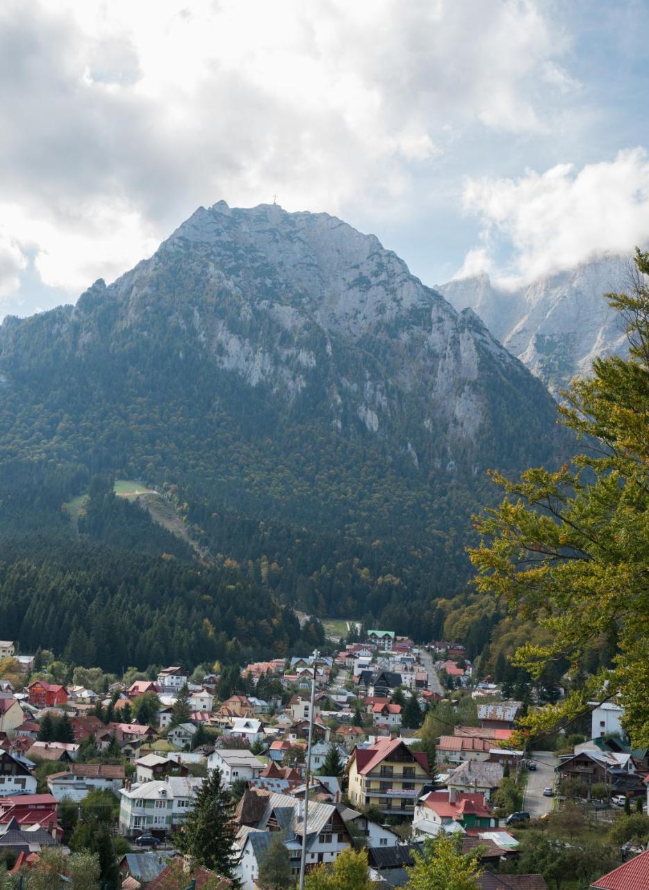Vila Alegria Szászbuda Kültér fotó
